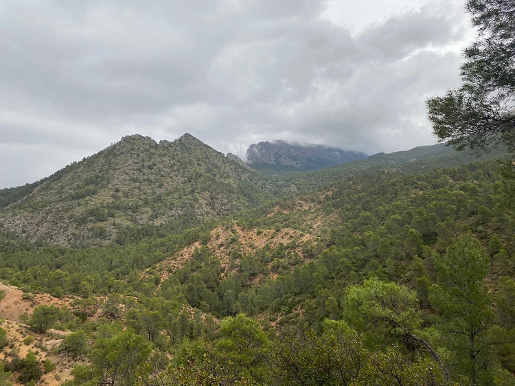 Fotos de la ruta